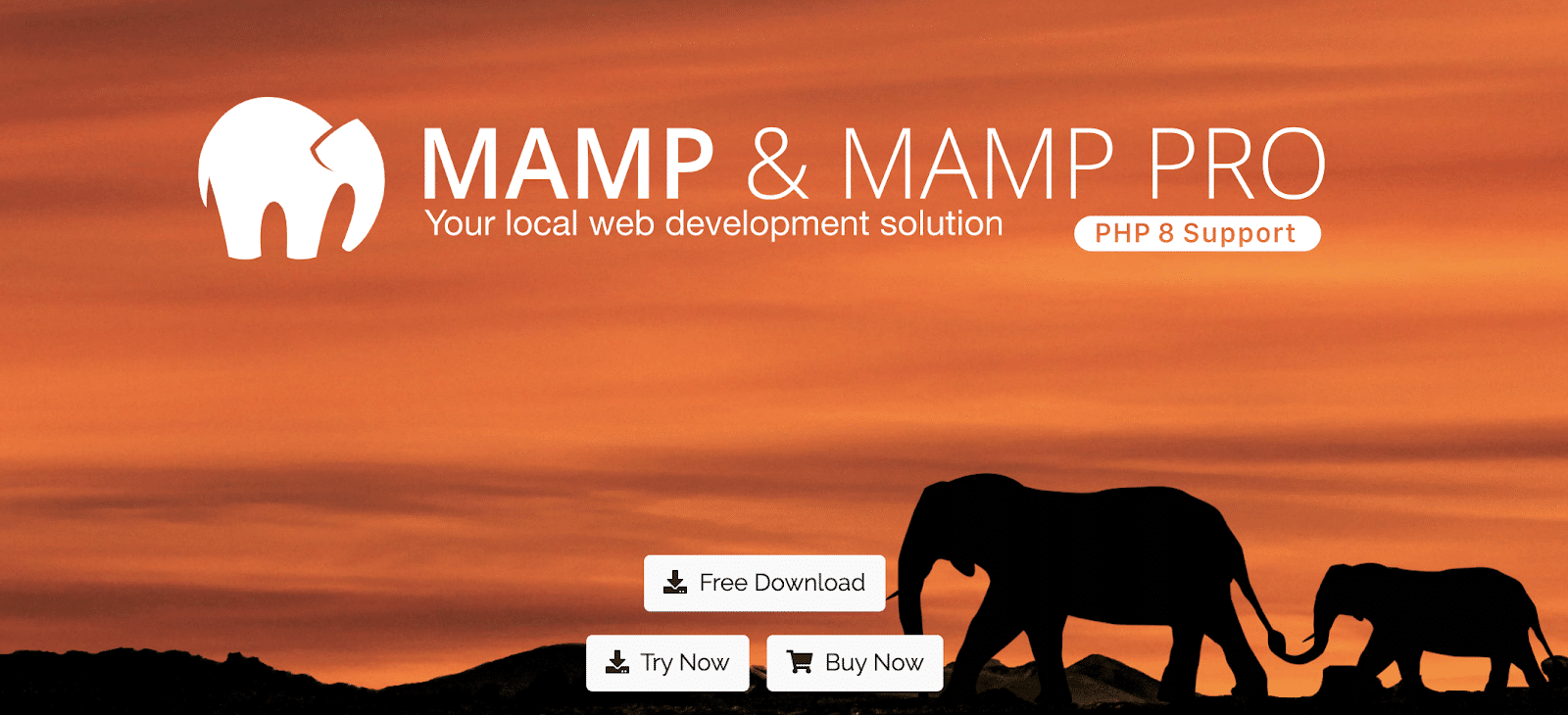The MAMP home page.