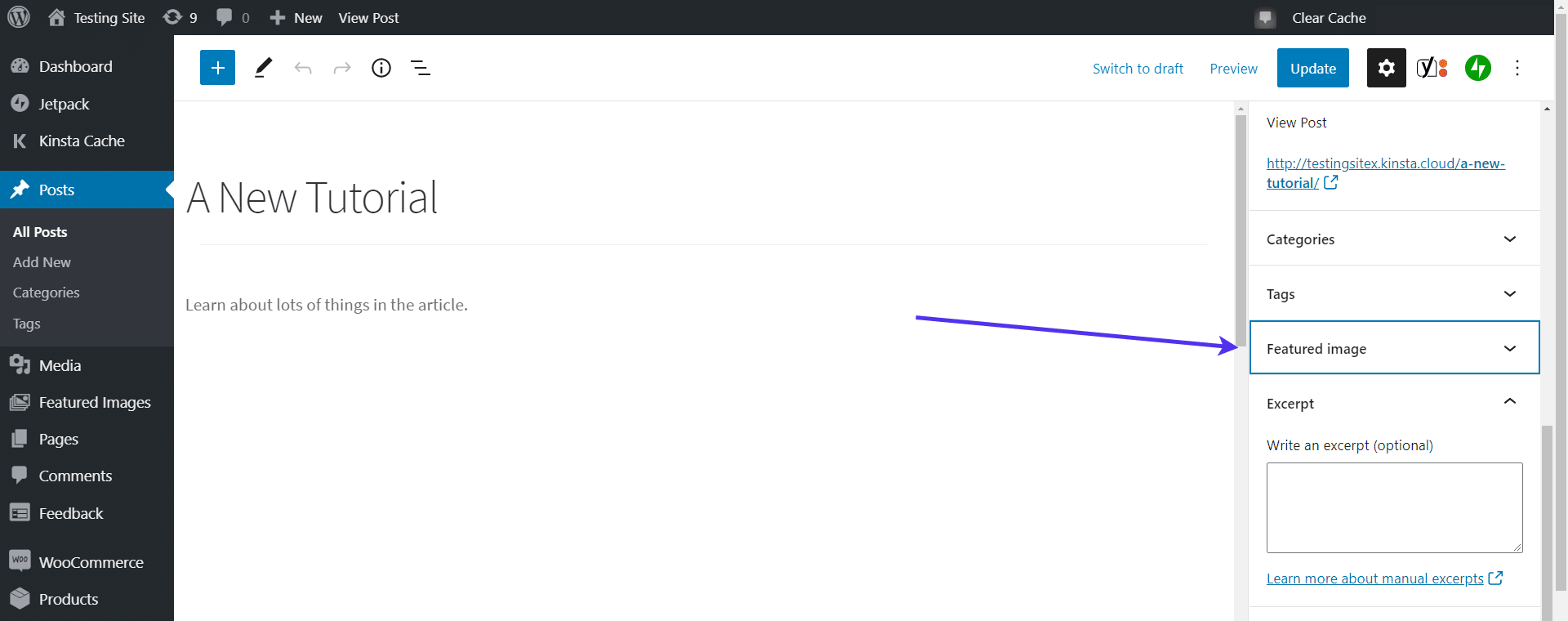 WordPress featured image not showing properly