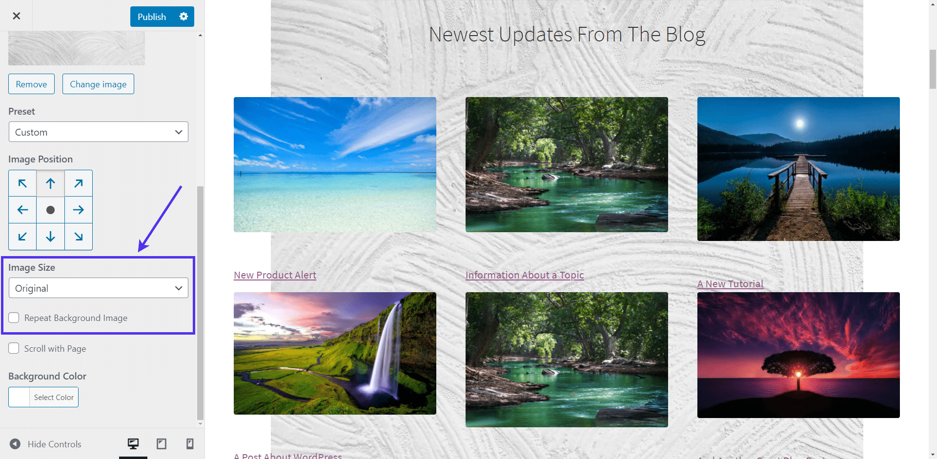 Setting the background image size