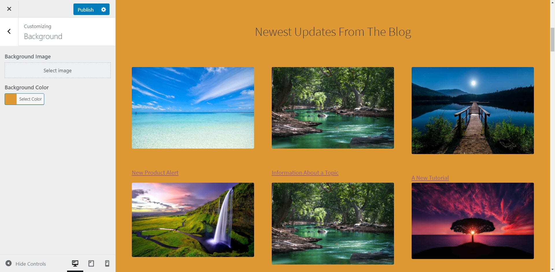 Previewing a solid orange WordPress background