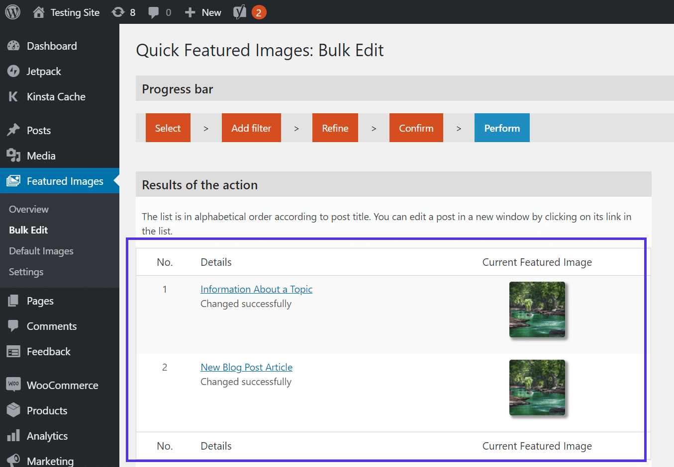 Controleer de resultaten van de "Bulk Edit"