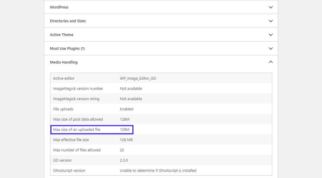 Instellingen voor ‘Media handling’ in het paneel 'Site Health Info'.