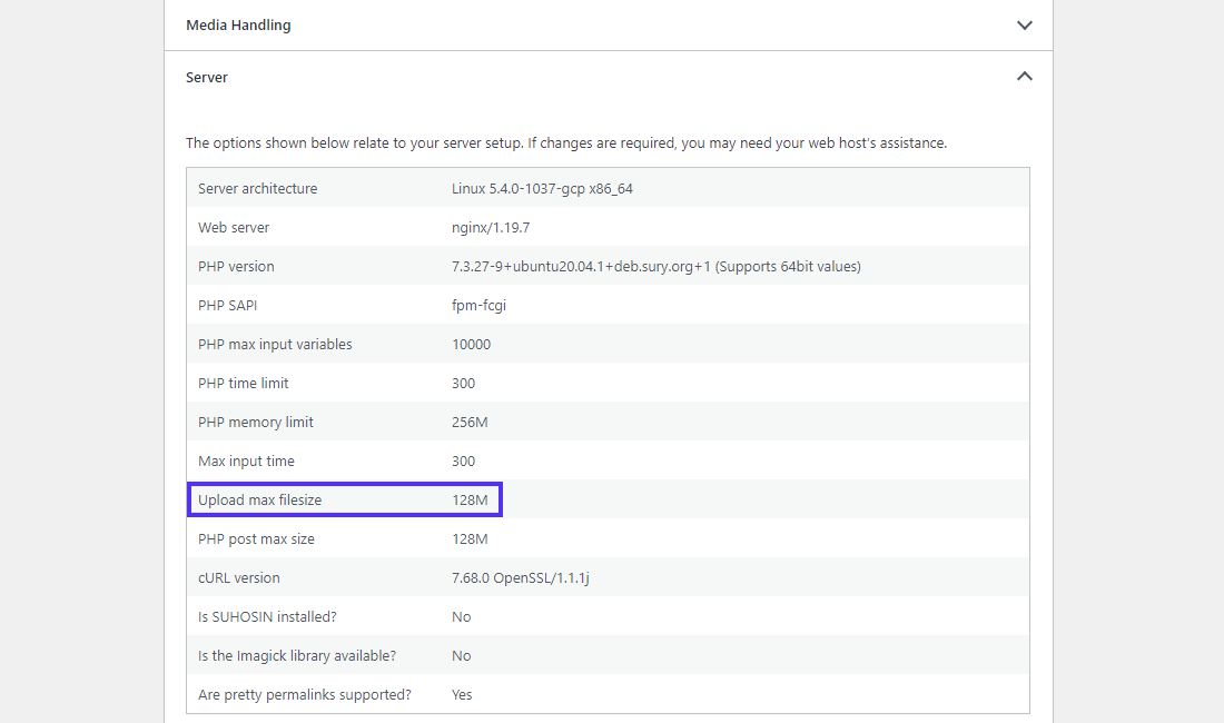 'Server' settings in the 'Site Health Info' panel