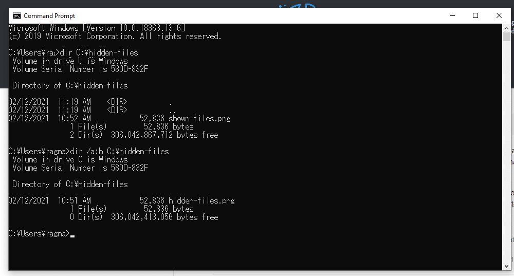 Windowsのコマンドプロンプトで隠しファイルを表示する