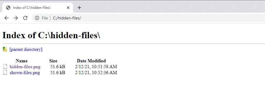 Hidden files shown in the browser