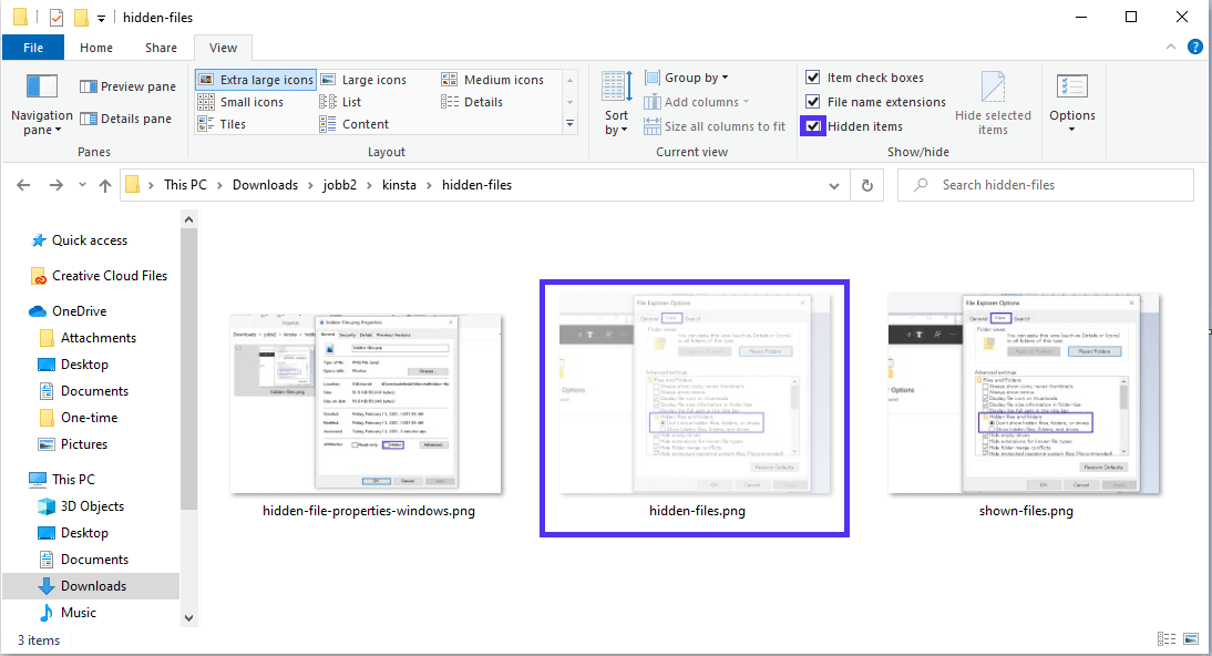 Viewing hidden files in File Explorer.