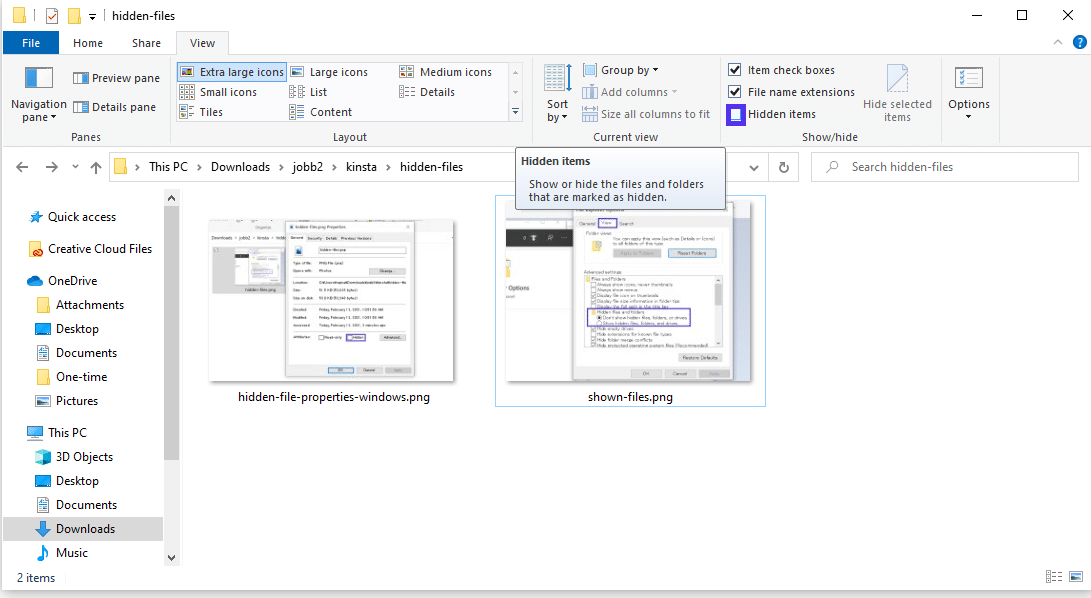 Windows File Explorer showing hidden files.