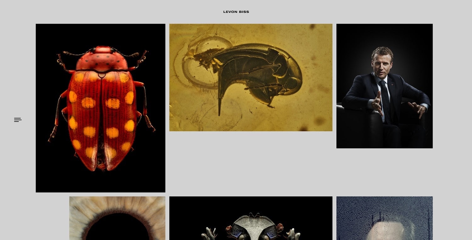 Site web du photographe Levon Biss