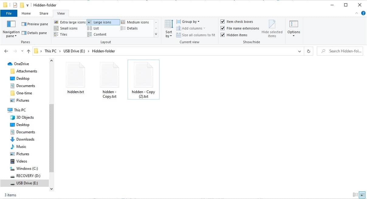 USB drive folder with hidden files visible.