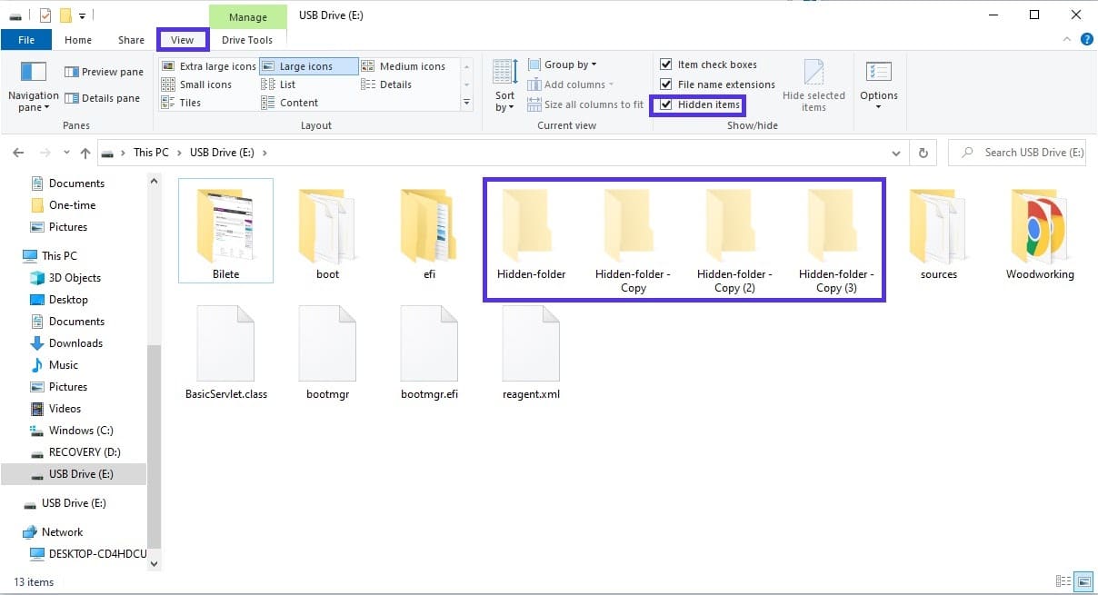Hidden items showing in USB drive.