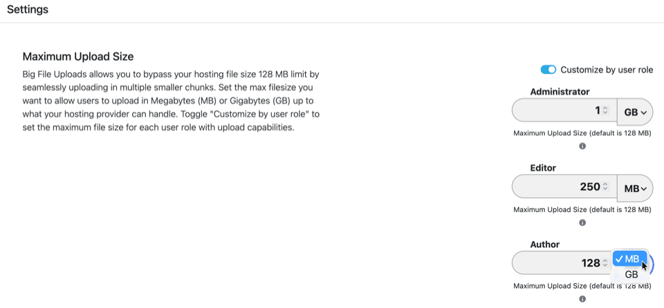 Schermata della finestra di dialogo Impostazioni del plugin Big File Uploads.