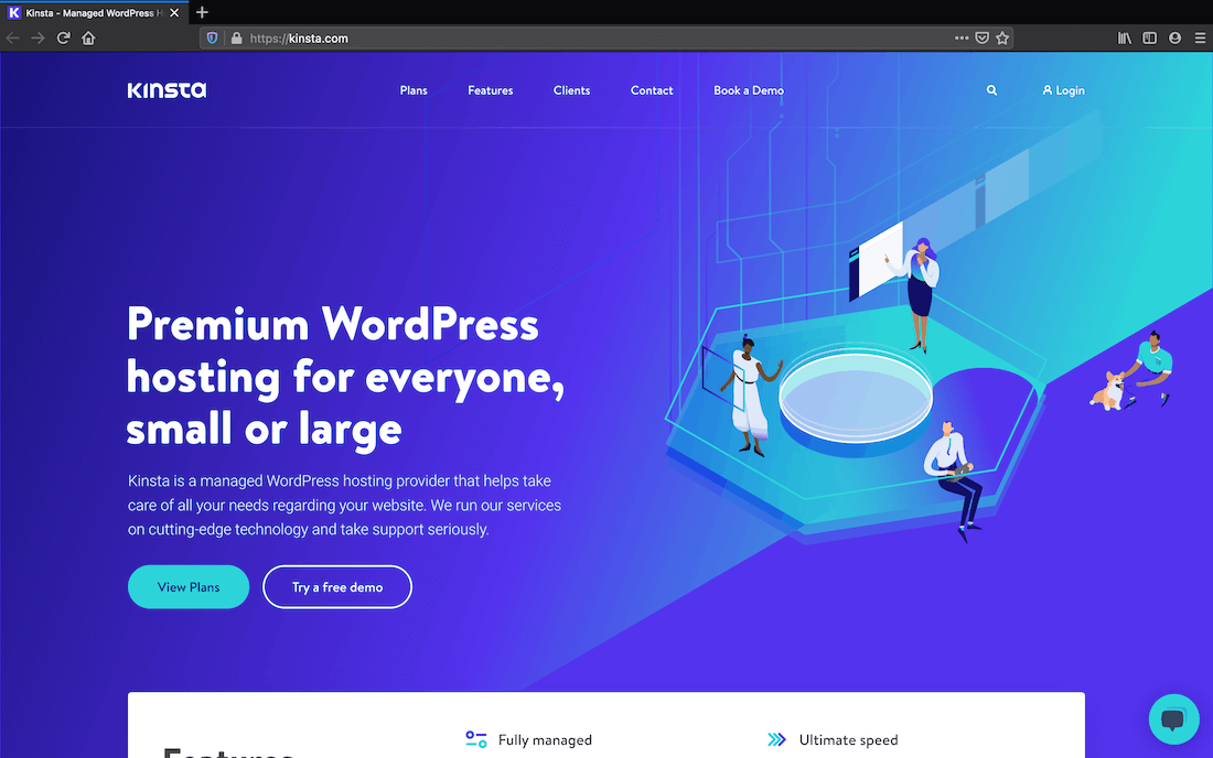 The Kinsta home page.