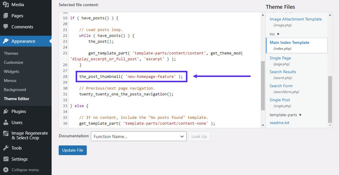 Adding the hook for custom image sizes to functions.php.