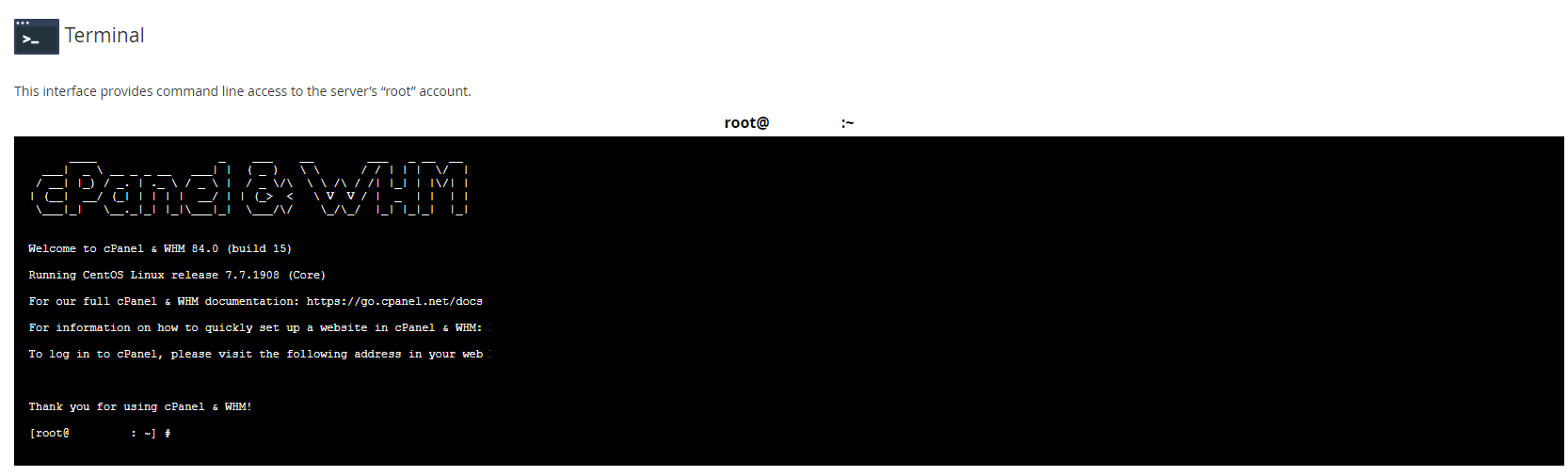 cPanel Terminal view