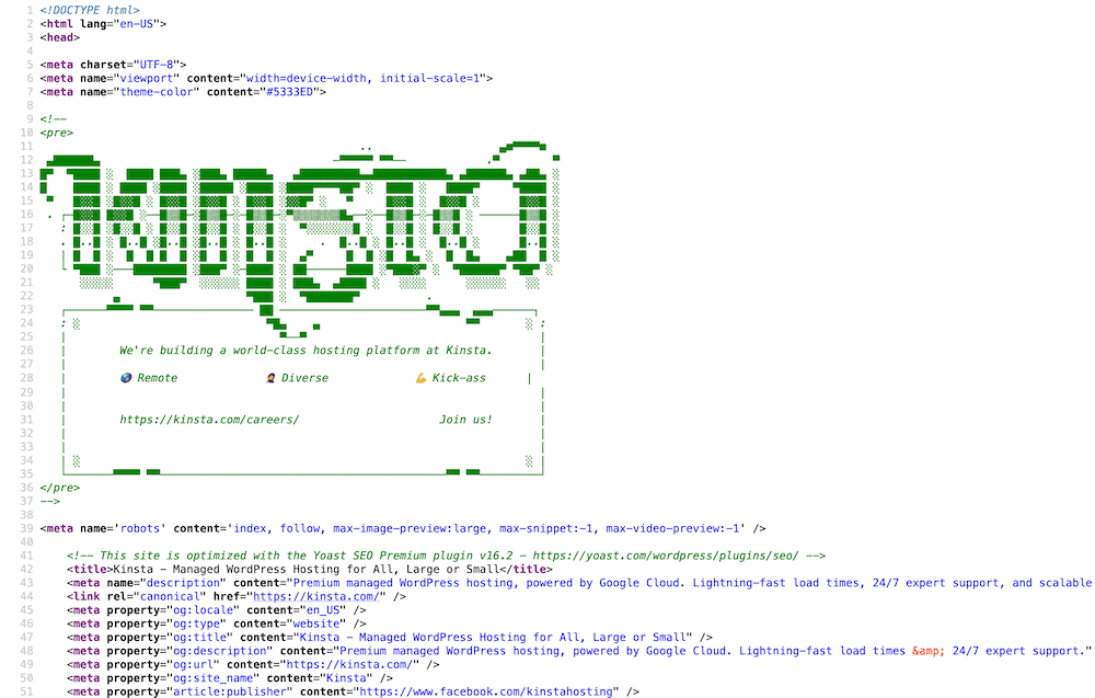 Kinsta.com’s “View Source” pagina.