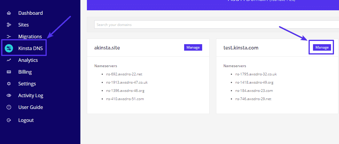 La opción de Kinsta DNS desde el tablero de MyKinsta.