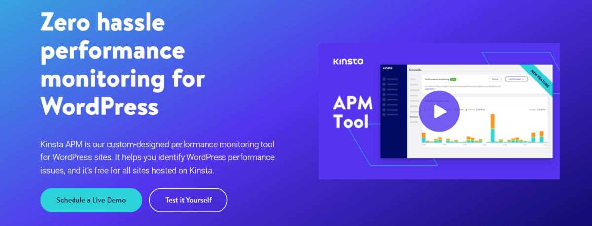 Kinsta APM är ett inbyggt prestandatestnings-verktyg för Kinsta-klienter