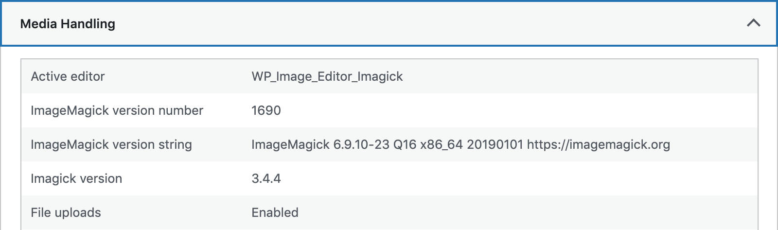 ImageMagick-versionfelt i Site Heath.