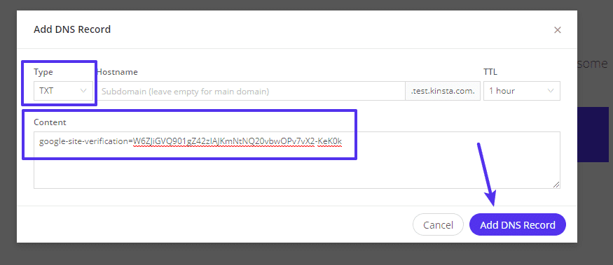 The window for adding a TXT record through MyKinsta with an arrow pointing at the "Add DNS Record" button.