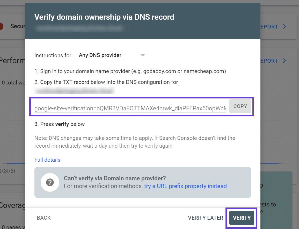 DNS レコードでのドメイン所有権の確認画面