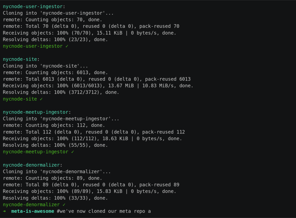 Cloning a meta project