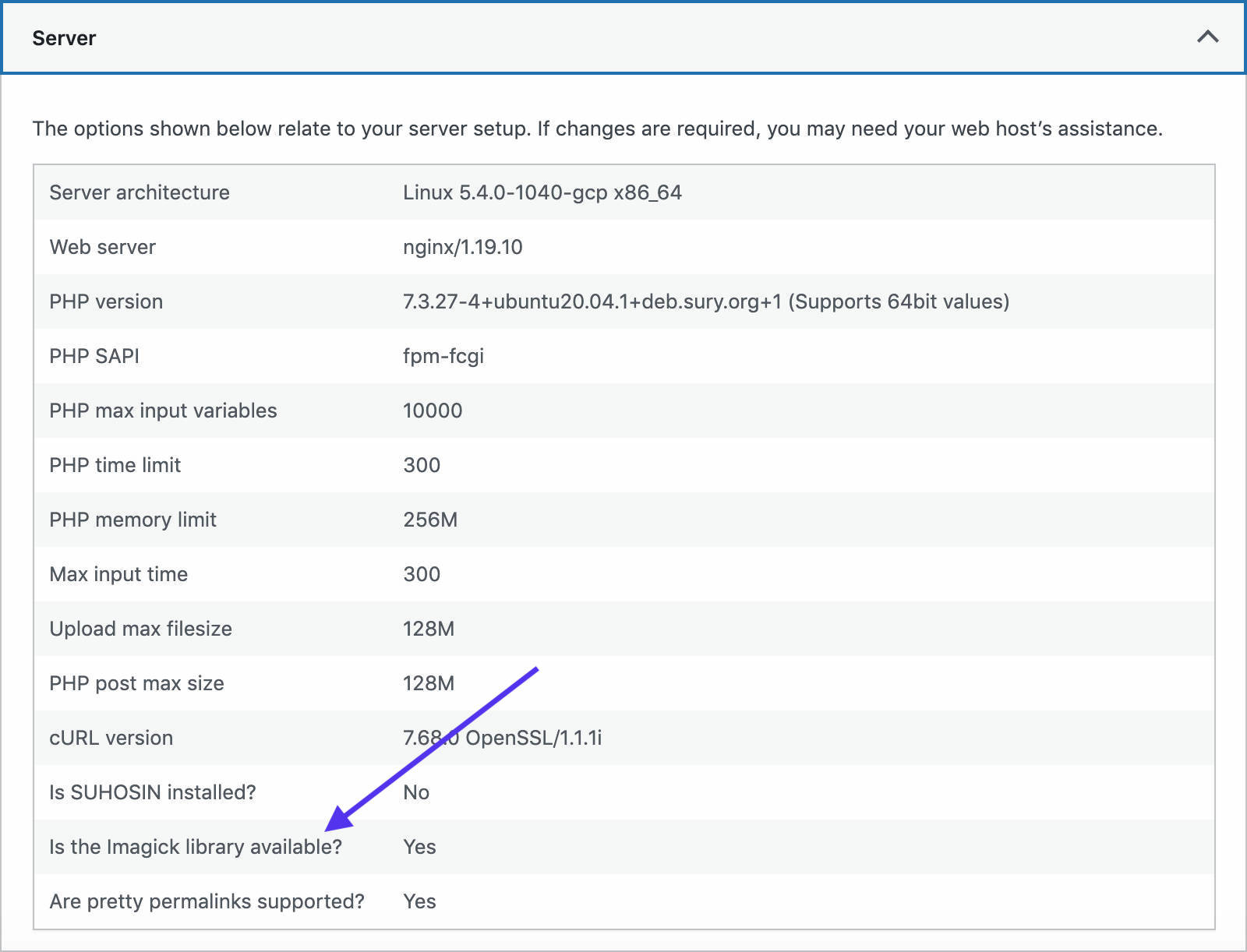 Kinsta prend en charge la bibliothèque Imagick.