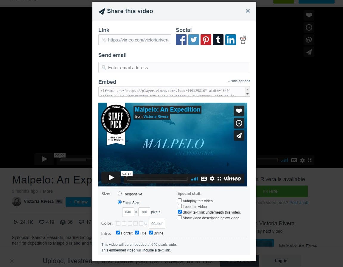 Vimeo video embed options screenshot.