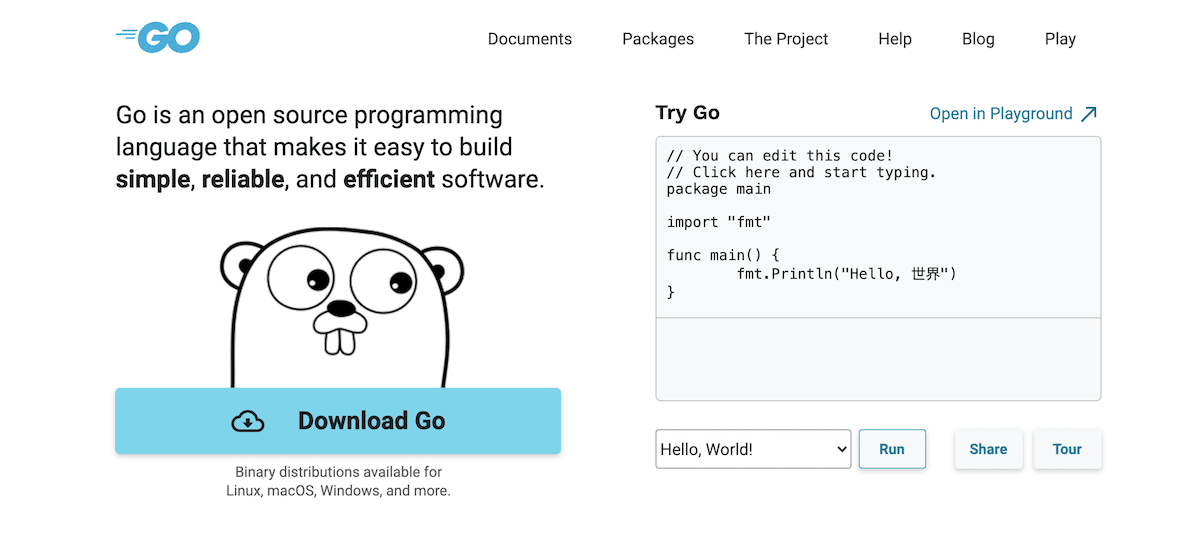 A página inicial do site Golang.