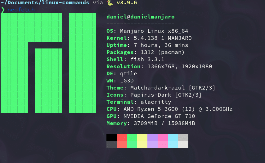 Neofetch che visualizza le informazioni di sistema.