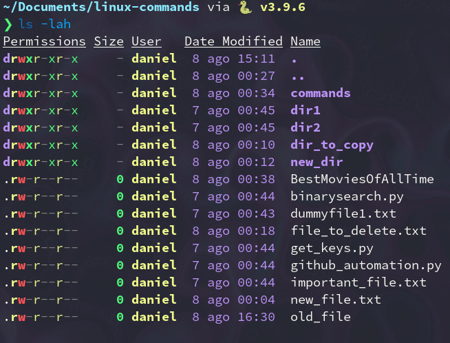 Comando di lista che mostra la nuova data.