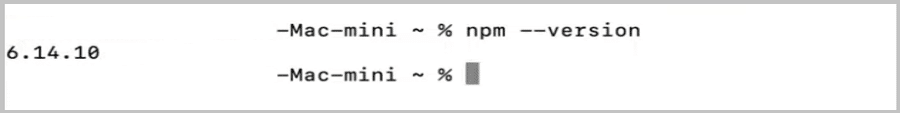 Controleren van npm versie op macOS.