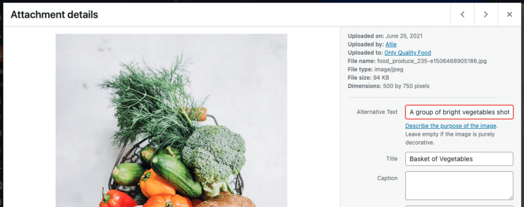 The place for alt text is clearly marked in the WordPress media library and can be edited at any time.