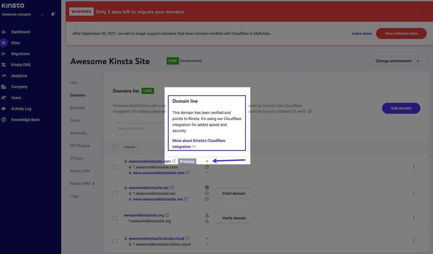 Ícone de verificação e mensagem em tempo real do domínio no MyKinsta.