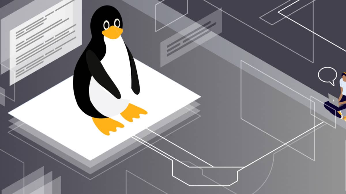 Tegne Stedord Oceanien The 40 Most-Used Linux Commands You Should Know