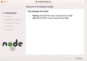 How to Install Node.js and npm on Windows, macOS & Linux