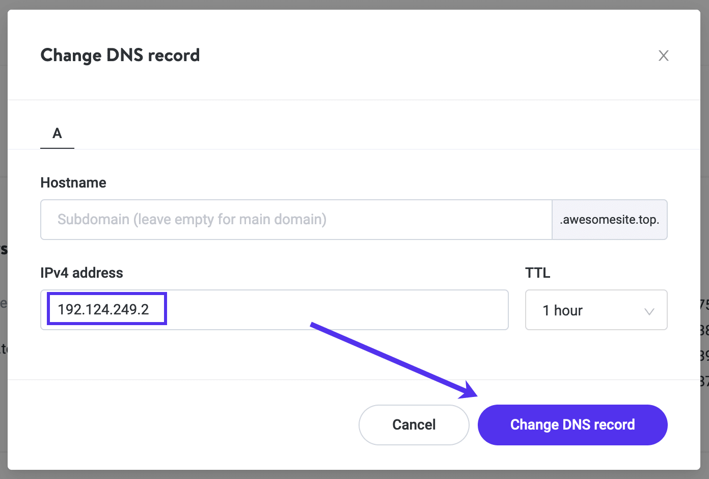 Updating your domain's A record in Kinsta DNS.