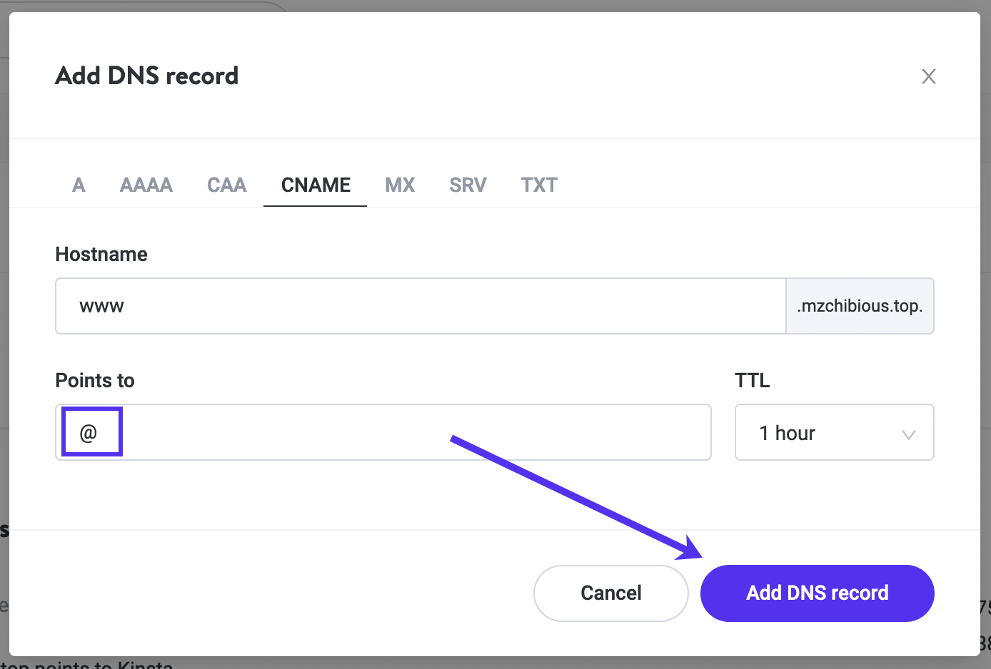 Adding a www CNAME to your domain in Kinsta DNS.