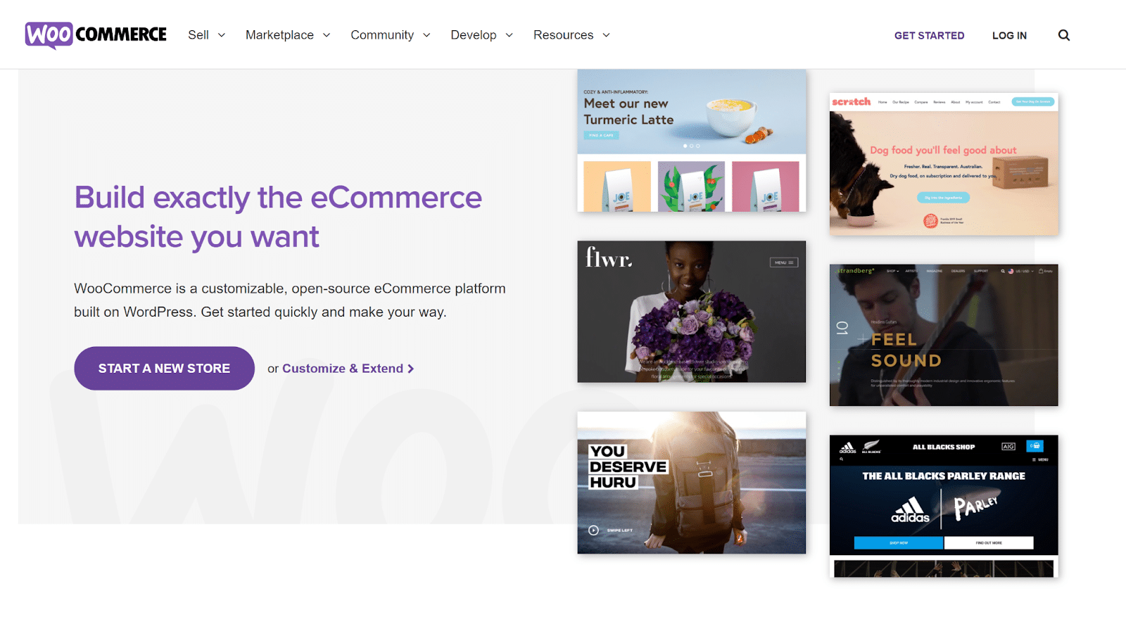 Homepage di WooCommerce con il motto Build Exactly the eCommerce Website You Want