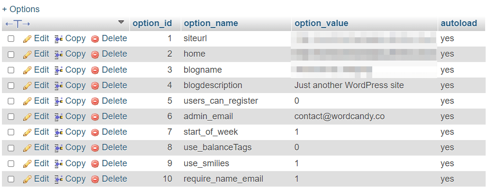 A screenshot of a database table, showing the wp_options rows.