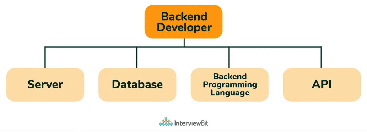 Infografica con gli ambiti di competenza dello sviluppo backend: server, database, linguaggio di programmazione backend, API