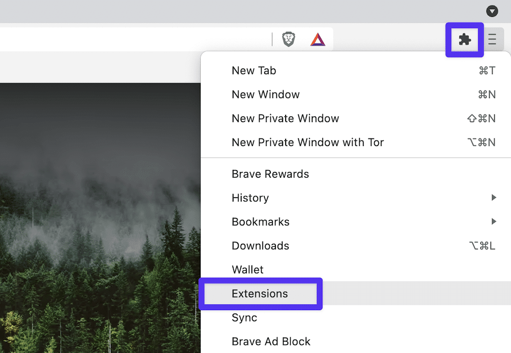 L'option de menu « Extensions » de Brave.