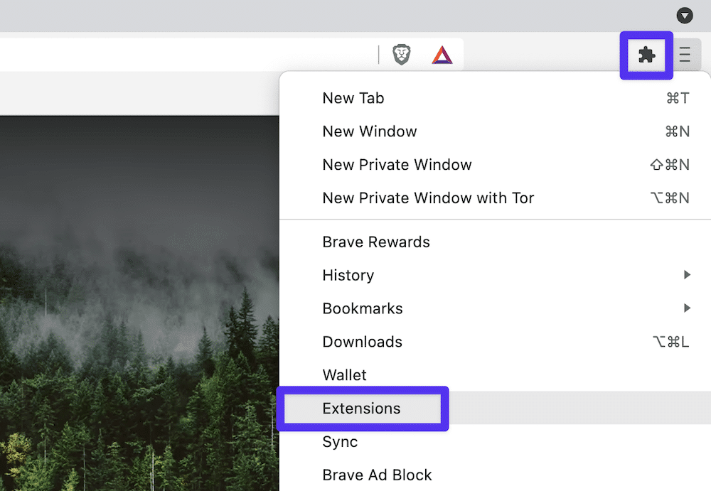 A opção de menu Brave "Extensions".