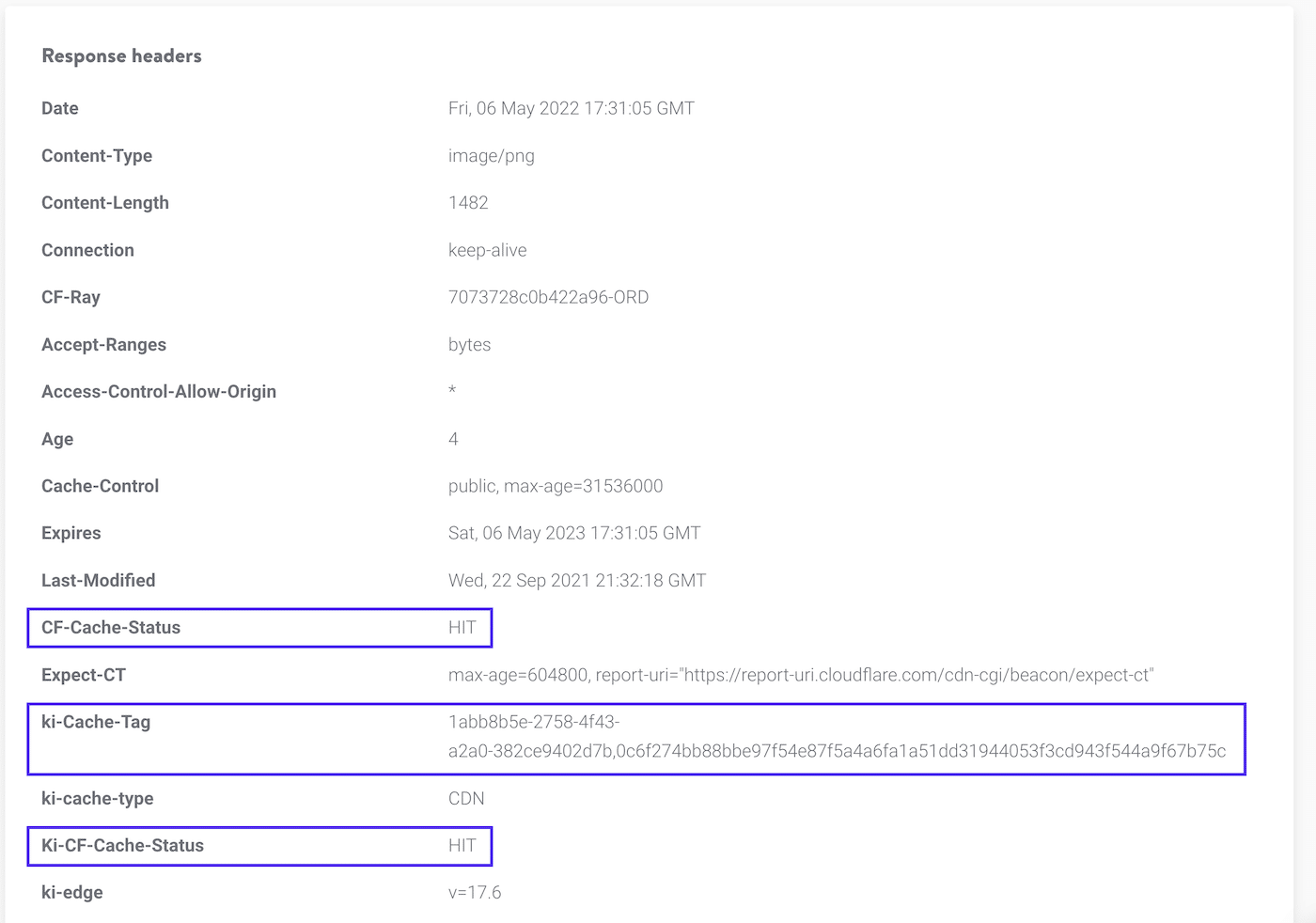 HTTP headers in the results of Kinsta's HTTP Status and Redirect Checker tool.