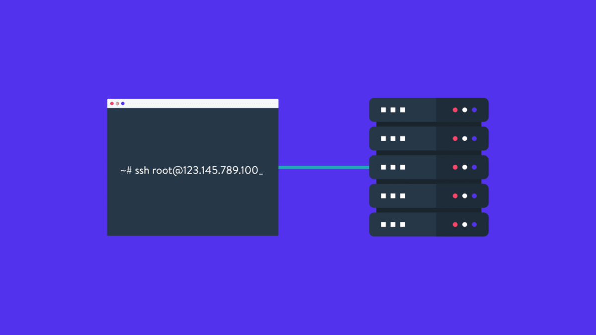 Connect to SSH at Kinsta®