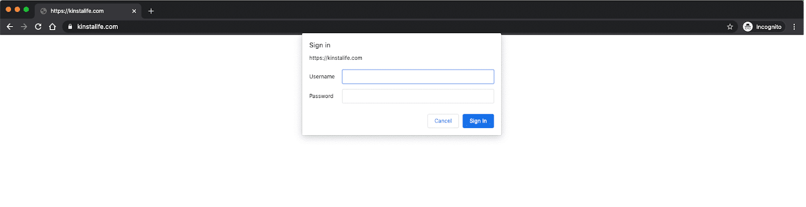 A proteção por senha requer o login antes de visualizar o site em seu navegador.