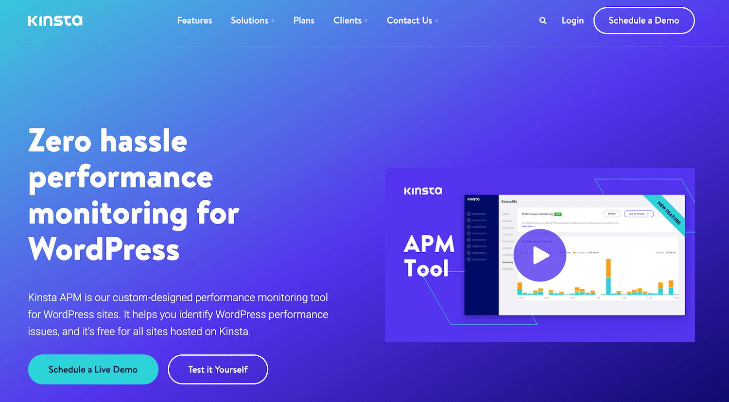 Schermata del sito che presenta lo strumento Kinsta APM