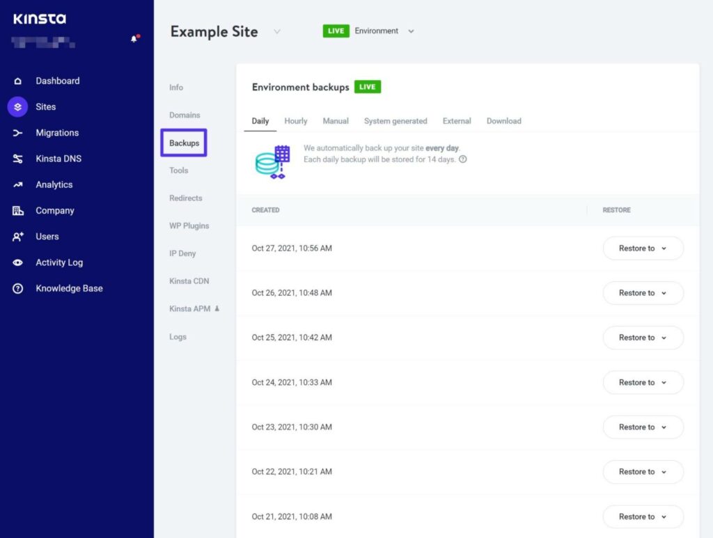 o strumento di backup di Kinsta.