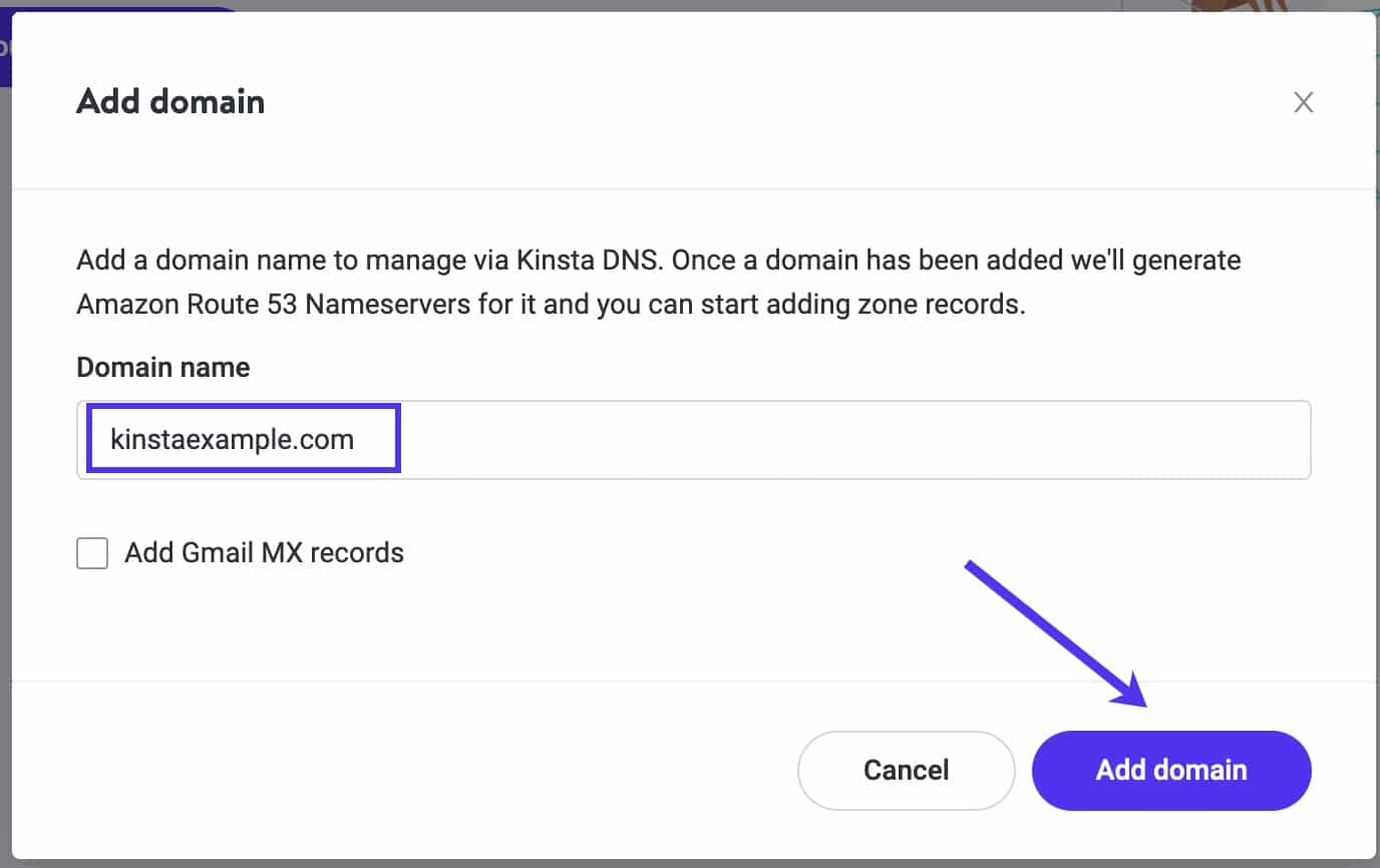 Click the Add domain button to add your domain to Kinsta DNS.