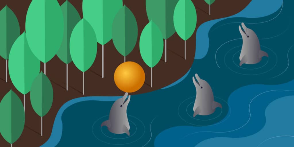 Illustration for MongoDB vs MySQL showing three dolphins in a river tossing an orange ball back and forth.