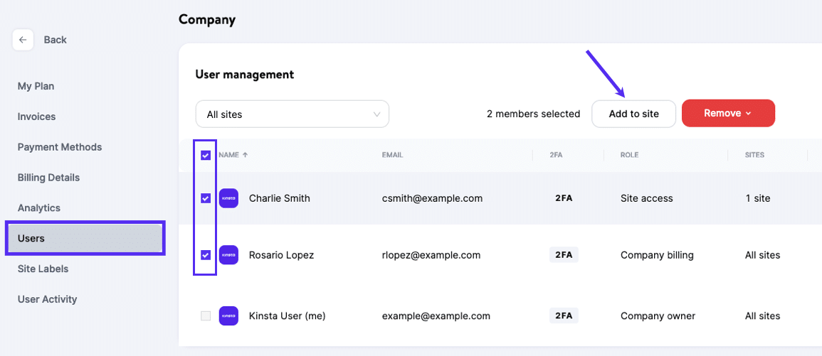 Add multiple users to a site in MyKinsta.